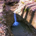 Buck Creek Trail - 3